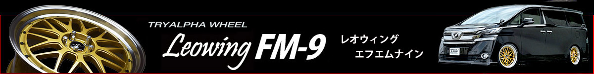 New Item  Leowing FM9 iЉ